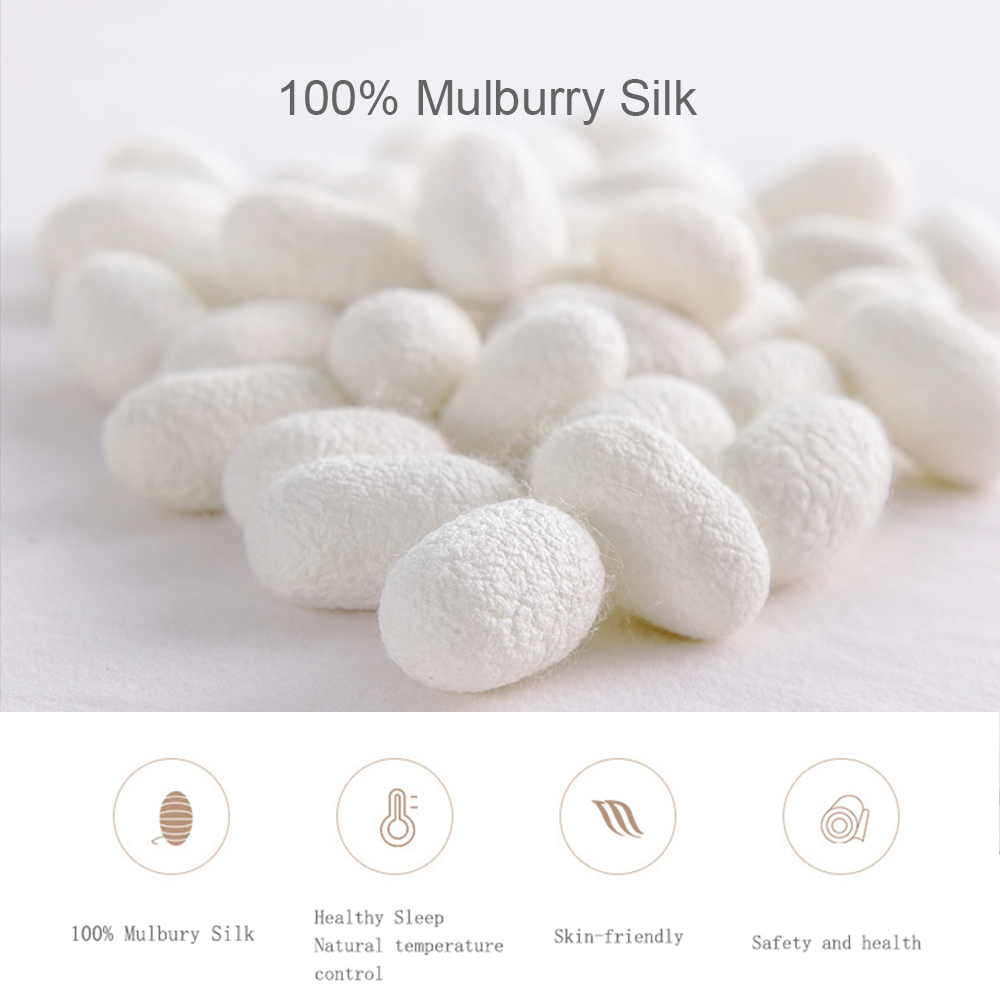 Liv-Esthete ผ้าไหม 100% ชุดผ้า - Skincare Queen บทวิจารณ์และราคา